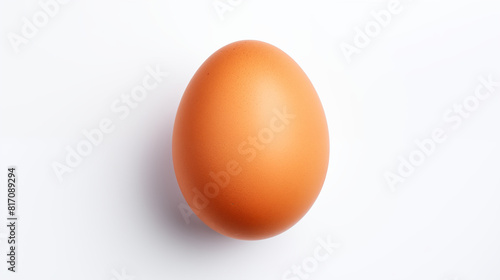 one brown egg isolated on white background