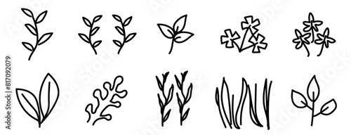 plants line set