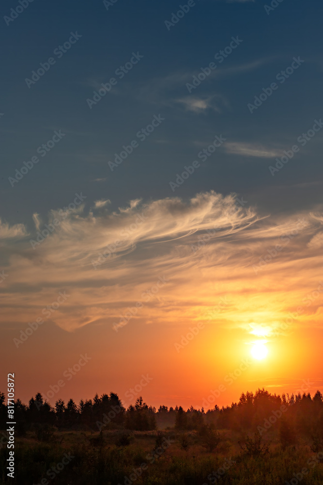 Summer sunrise or sunset on the field. Summer landscape. Vertical view. Summer sunrise or sunset on the field. Summer landscape. Vertical view.