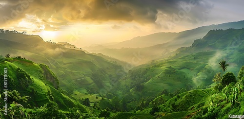 A panoramic view of the lush green terraced hills and mountains in Kandy, enclosed by foggy clouds during sunrise
