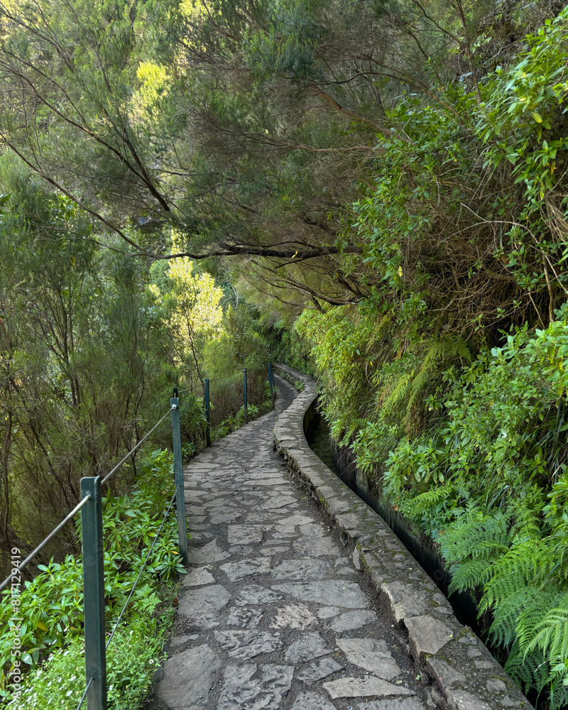 Obraz premium Along the Levada, Madeira. Hiking along irrigation channel