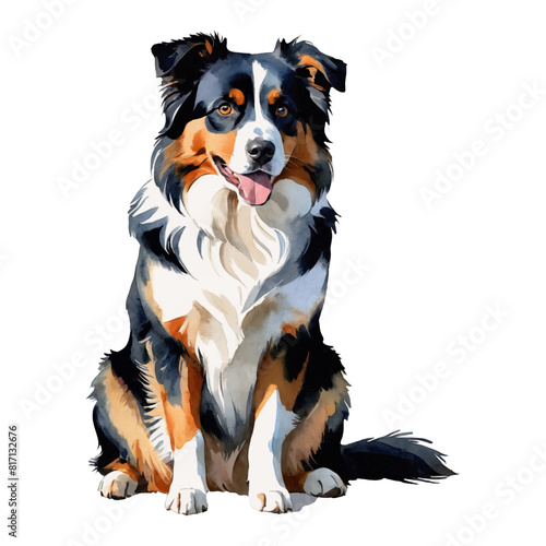 Australian Shepherd Dog Sitting Hand Drawn Watercolor Painting Illustration