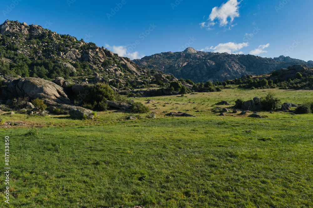 Naklejka premium mountains, landscape, view, nature, plants, spring, sunny, flora