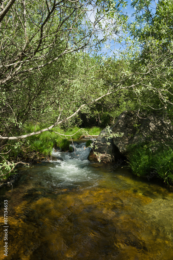 landscape, spring, view, river, plants, nature, water, transpare landscape, spring, view, river, plants, nature, water, transpare