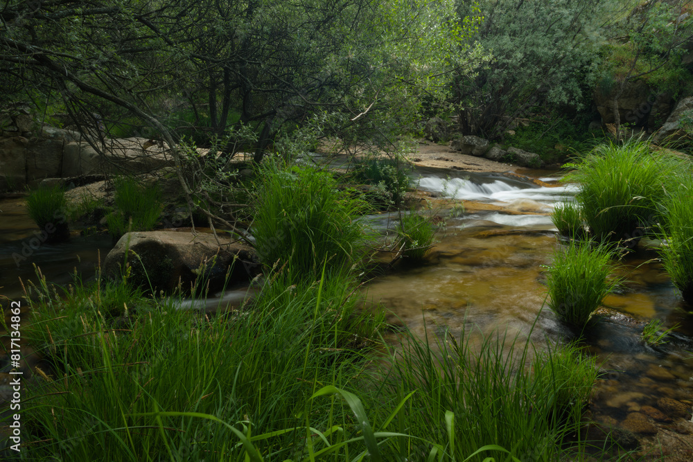 Fototapeta premium landscape, spring, view, river, plants, nature, water, transpare