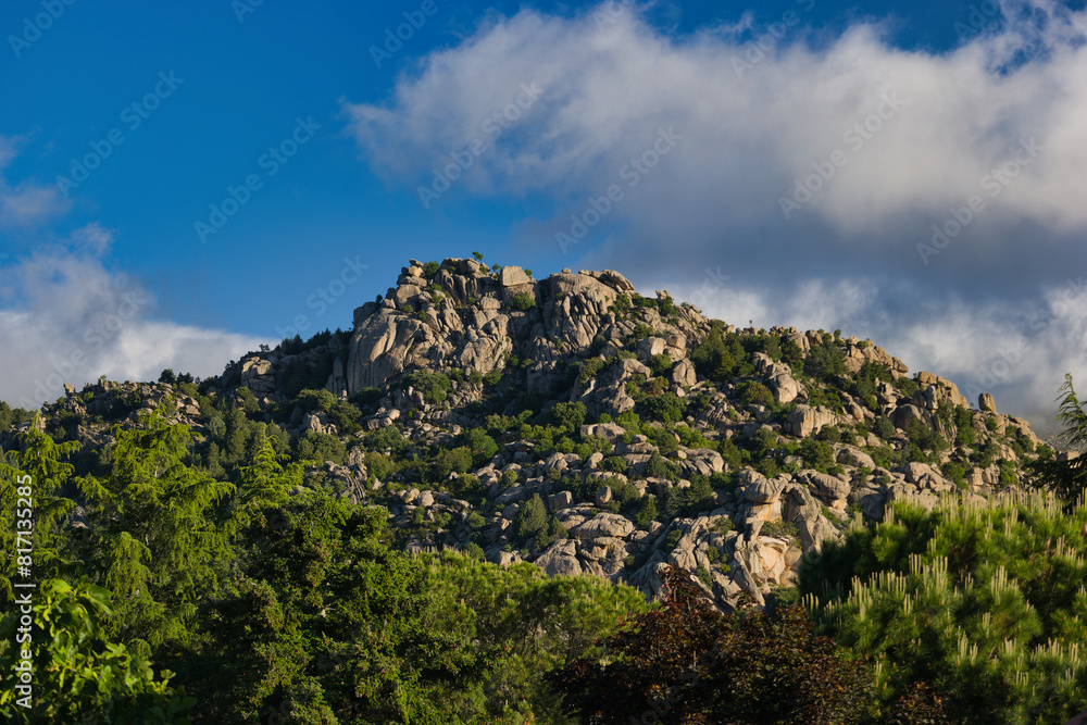 mountains, landscape, view, nature, plants, spring, sunny, flora mountains, landscape, view, nature, plants, spring, sunny, flora