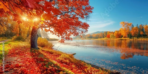 fall landscape with vibrant colors