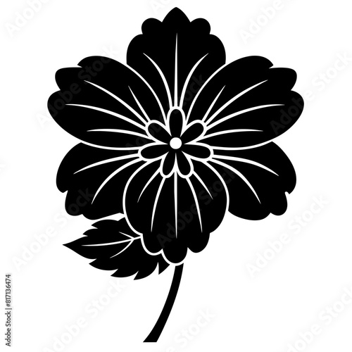black and white flower isolated