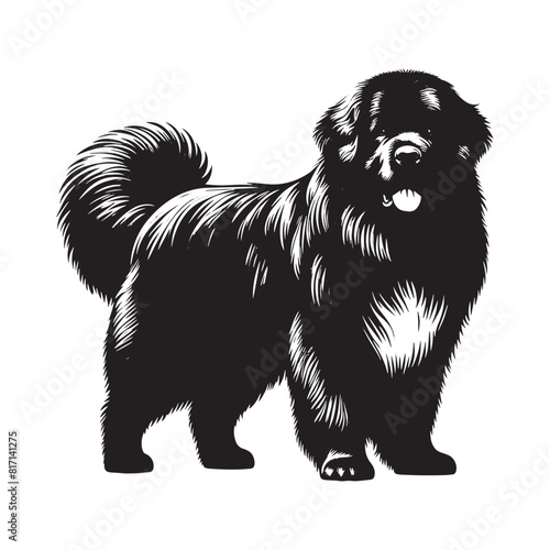 Newfoundland dog silhouette  Regal Dog silhouette  Newfoundland dog Black and White Illustration  