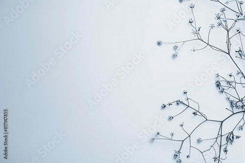 Delicate  leafless branches with tiny buds against a soft  pale blue background  creating a minimalistic and serene composition
