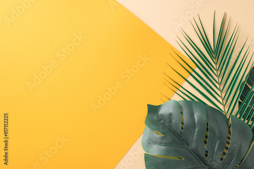 Fotografija Artistic arrangement of tropical palm and monstera leaves against a dual-tone ye