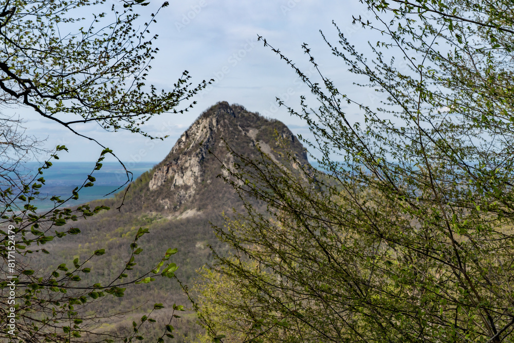 mountain forest mountain forest