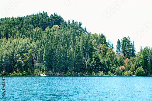 a dense fairy-tale forest on a mountainside near a blue lake with a yacht on the shore