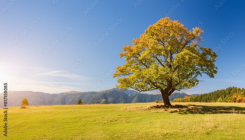 Dual Seasons: Summer Tree Amidst Autumn Leaves Dual Seasons: Summer Tree Amidst Autumn Leaves