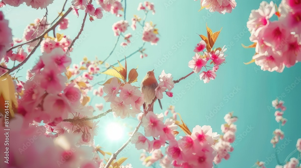 Fototapeta premium Ethereal Elegance: Blossoming Beauty of a Pink Tree