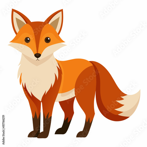 Terrestrial carnivore, Red fox, Cartoon fawn standing on white background