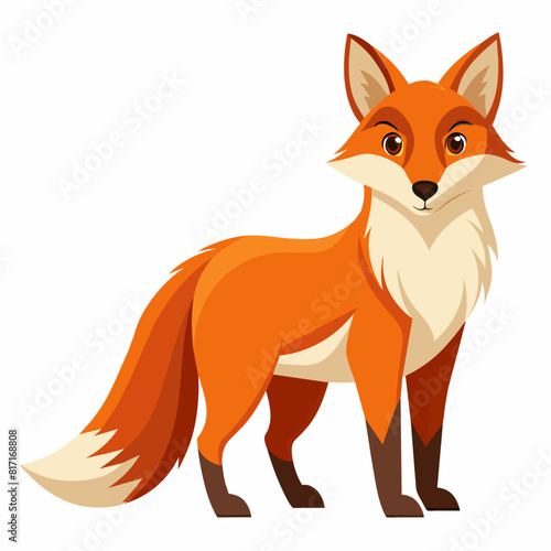 Red fox cartoon painting on white background, terrestrial animal with swift tail