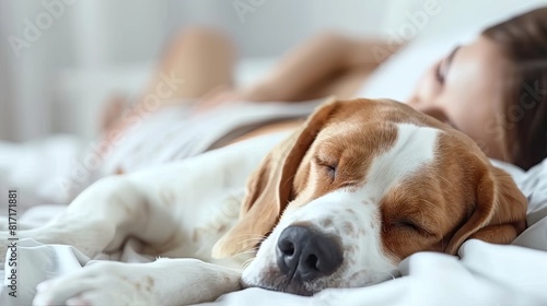 Dreamland Serenity: Dog Comfortably Napping Next to Sleeping Woman
