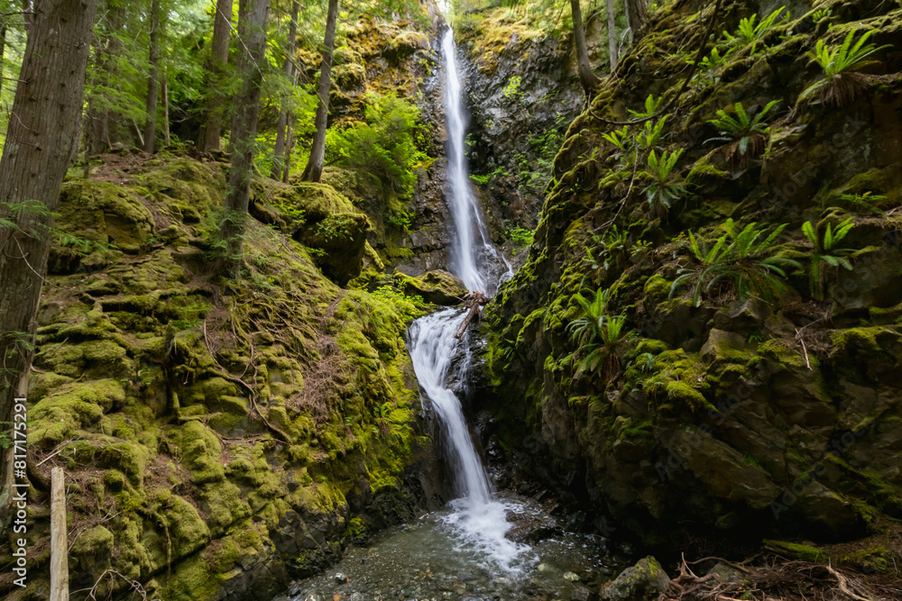 Naklejka premium Waterfall in forest
