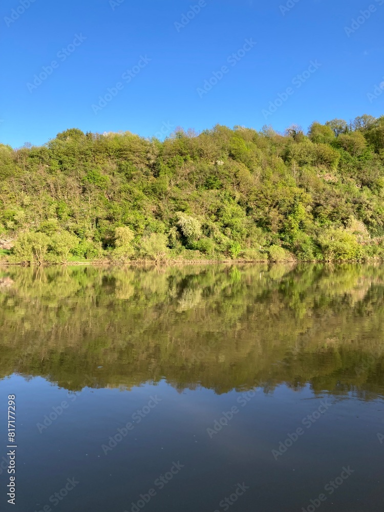 Spiegelung von Bäumen am Hang im Fluss Mosel im wunderschönen Moseltal bei Kröv Spiegelung von Bäumen am Hang im Fluss Mosel im wunderschönen Moseltal bei Kröv