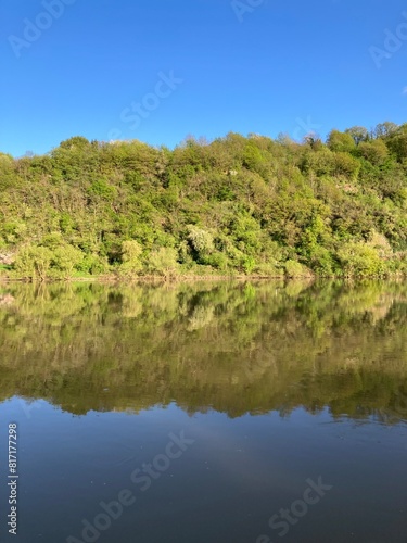 Spiegelung von B  umen am Hang im Fluss Mosel im wundersch  nen Moseltal bei Kr  v