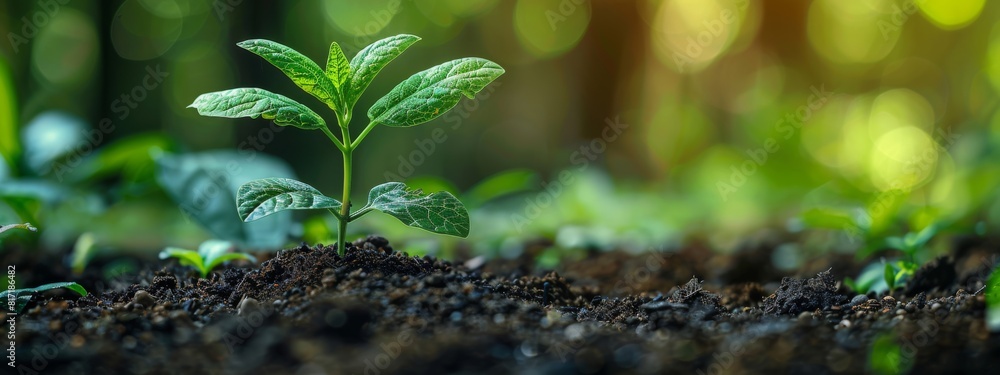 Eco-Friendly Financial Instruments: New financial products designed to support sustainability. Eco-Friendly Financial Instruments: New financial products designed to support sustainability.