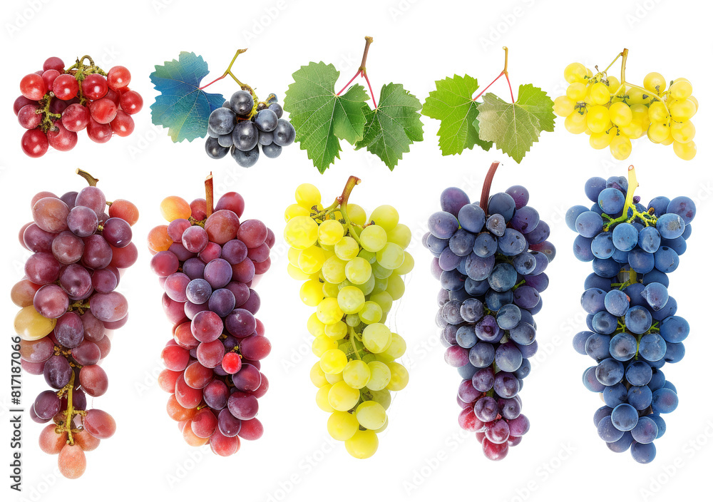 Colorful bunch of grapes isolated on a background Colorful bunch of grapes isolated on a background
