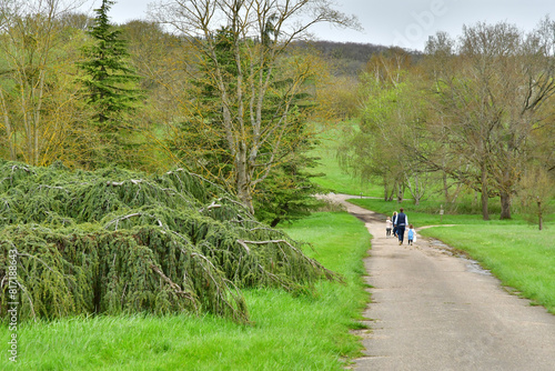 Versailles; France - april 7 2024 : Arboretum de Chevreloup photo