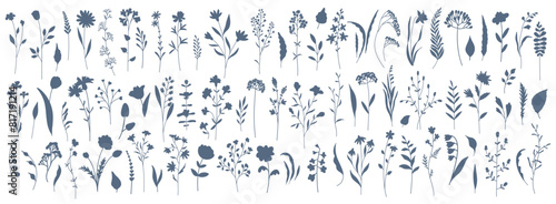  Set of elegant silhouettes of flowers  branches  leaves  wildflowers and herbs. Thin hand drawn vector botanical elements