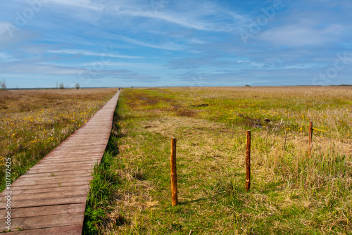 Green meadow with the landscape in the open