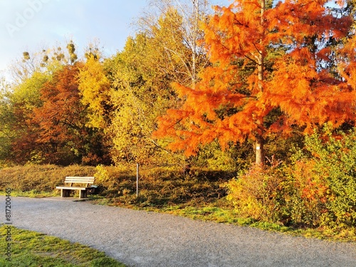 autumn in the park