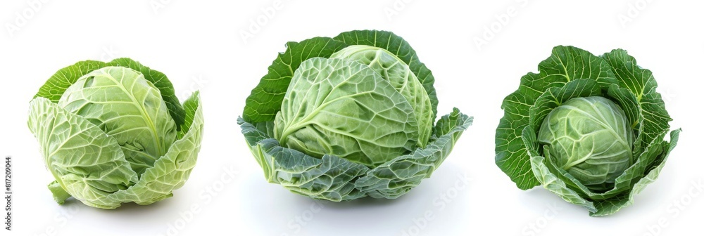 cabbage isolated on white background cabbage isolated on white background