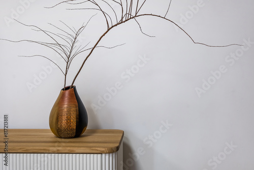 minimalist composition of round vase with dry twig branch, on chest of drawers against white wall, interior decoration