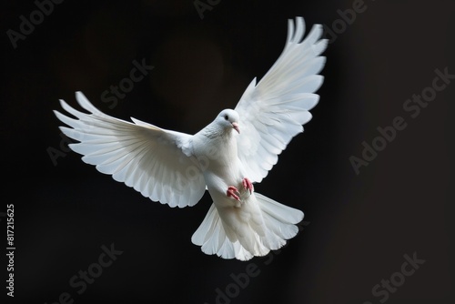 A White Dove With Open Wings Flying On a Black Background