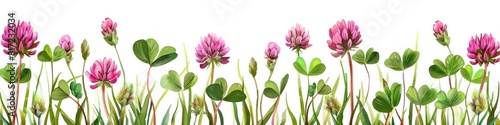 Detailed of a Vibrant Red Clover Plant with Blooming Flower Heads in a Lush Meadow Setting