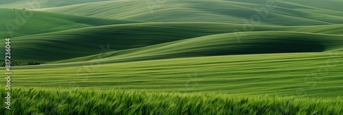 Tranquil and vivid image of undulating green hills evoking peace and serenity in a natural landscape