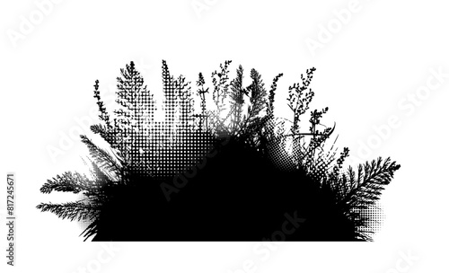 Monochrome silhouette of grass and leaves. Hand drawing. Not AI. Vector illustration