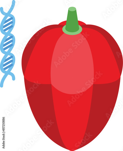 Illustration of a red bell pepper with a dna helix, symbolizing genetic modification