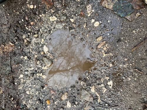 heart puddle