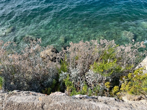 coast