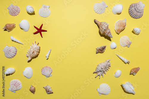 Creative seashell pattern on bright yellow background. Summer minimal concept.