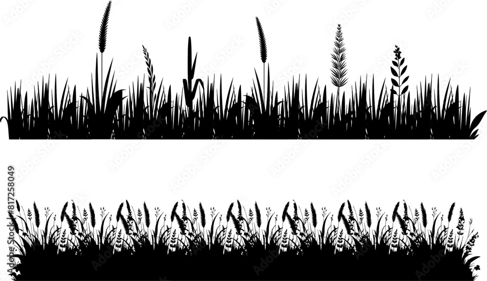 Black grass seamless border. Bunch of spring grass. Realistic meadow .  Field icon . Spring botanical elements . Tufts of gardens plants .Lawn grass. Spikelet