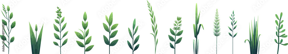 Green grass .Plant with leaves and flowers .Bunch of spring grass. Realistic meadow . Field icon . Spring botanical elements . Tufts of gardens plants .Lawn grass. Spikelet Green grass .Plant with leaves and flowers .Bunch of spring grass. Realistic meadow . Field icon . Spring botanical elements . Tufts of gardens plants .Lawn grass. Spikelet