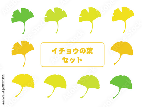 イチョウの葉セット 秋
