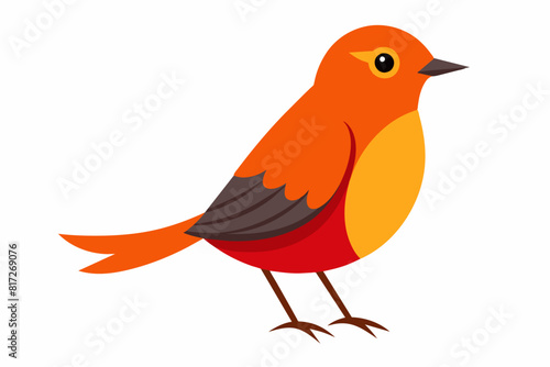 pippin bird cartoon vector illustration photo