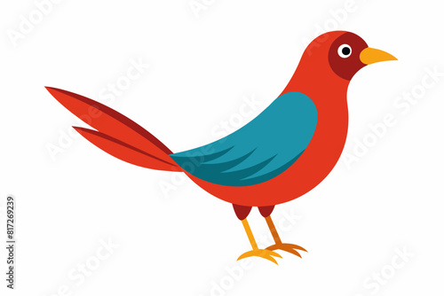 pippin bird cartoon vector illustration photo
