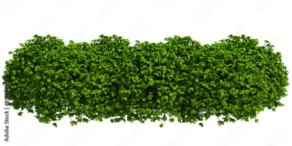 Obraz premium 3d render brush tree isolated on white