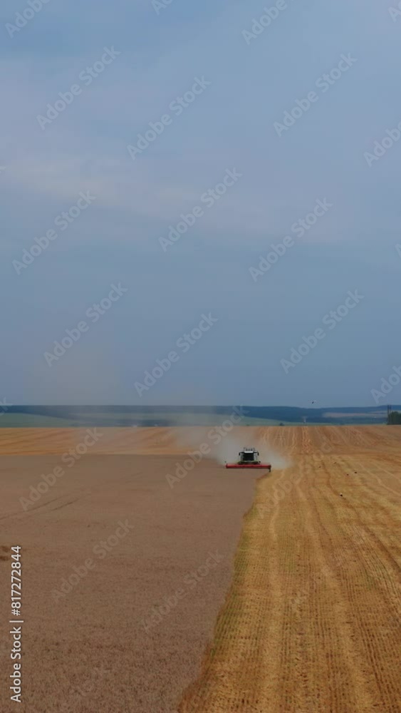 Agricultural machinery working in the large field. Vast farmland limited by woods on both sides. Blue skies and plantations at the backdrop. Vertical video Agricultural machinery working in the large field. Vast farmland limited by woods on both sides. Blue skies and plantations at the backdrop. Vertical video