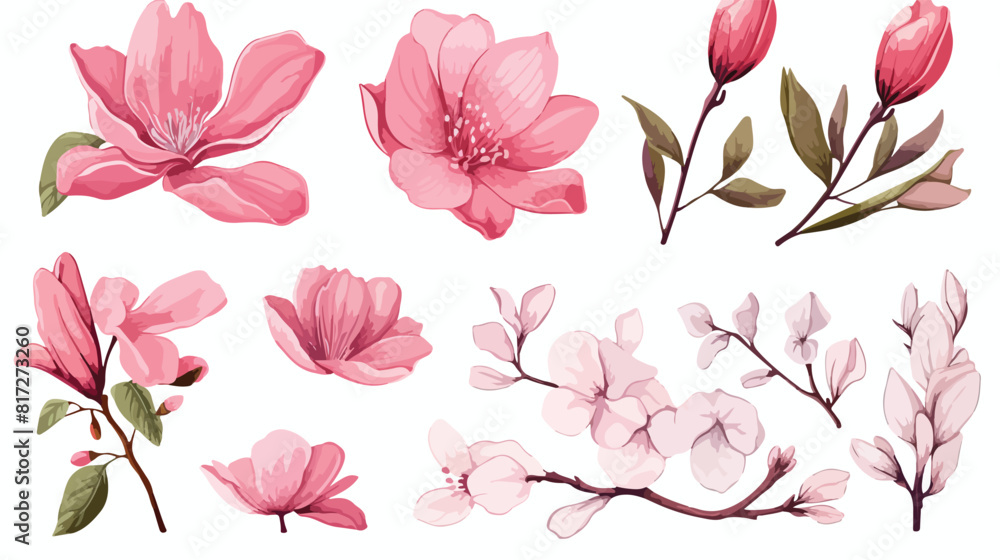 Set of hand drawn pink flowers - magnolia apple and