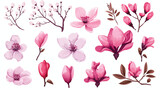 Set of hand drawn pink flowers - magnolia apple and